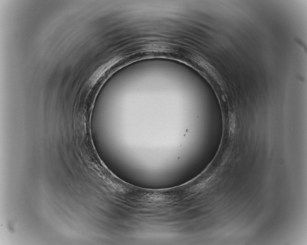 X0000102030829200807251349