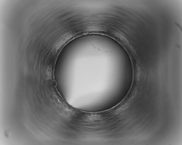 X0000102030833200807251349