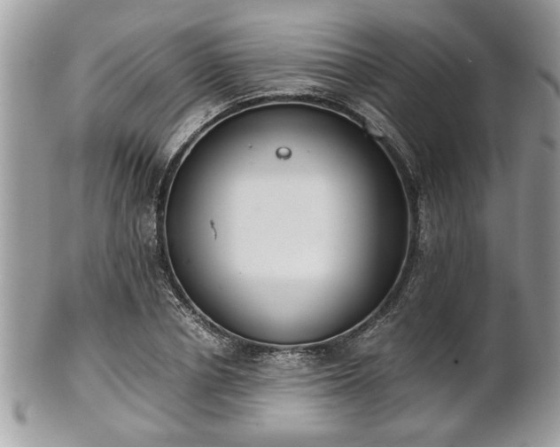 X0000102030834200807251349