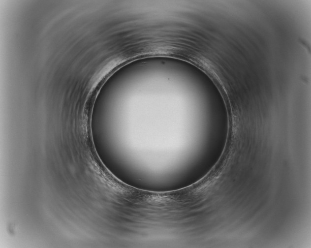 X0000102030835200807251349