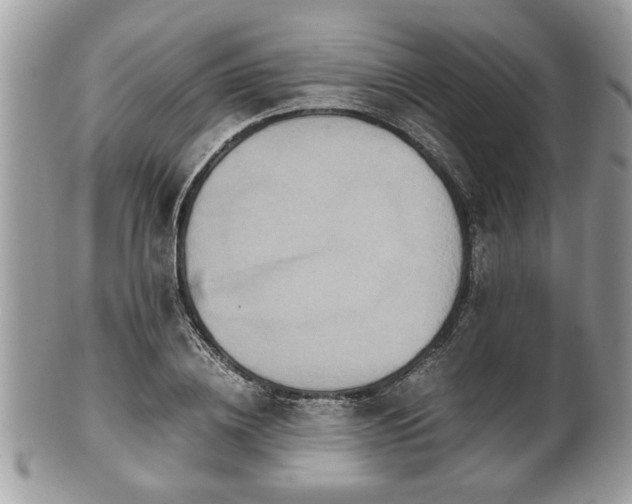 X0000102030836200807251349