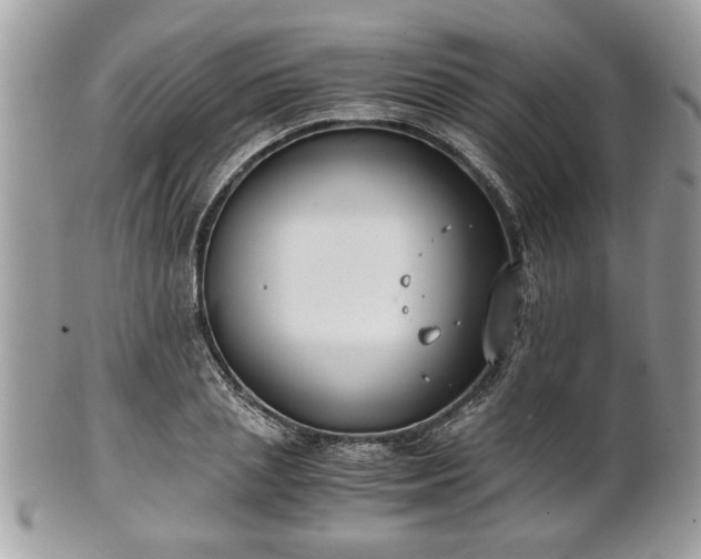 X0000102030837200807251349