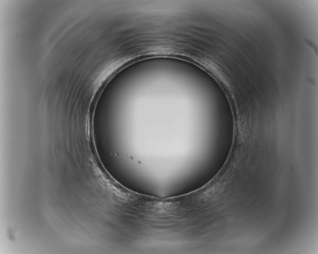 X0000102030839200807251349