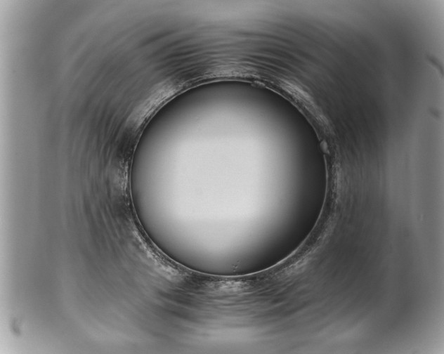 X0000102030841200807251349