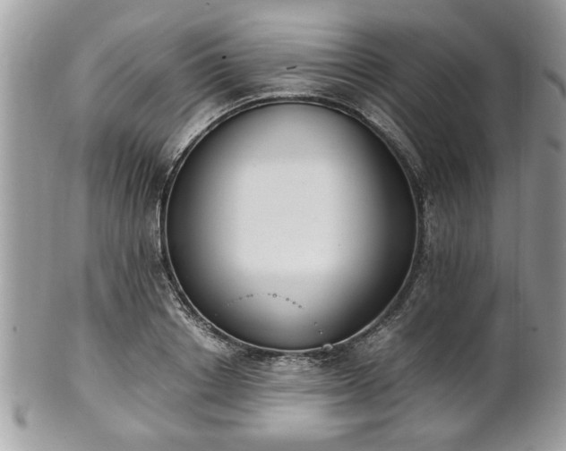 X0000102030842200807251349