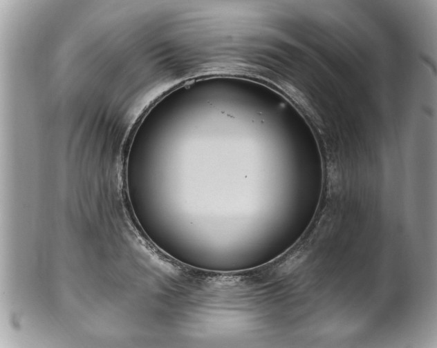 X0000102030846200807251349