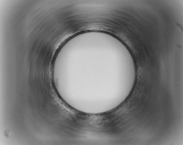 X0000102030848200807251349