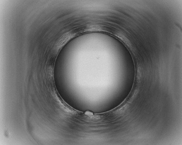 X0000102030849200807251349