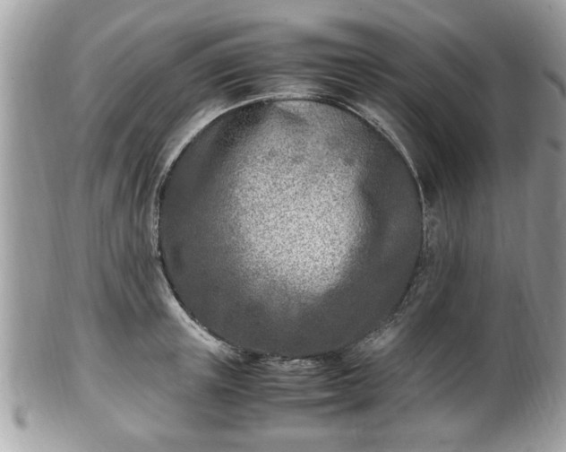 X0000102030851200807251349