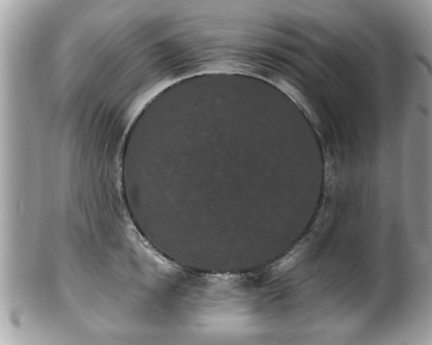 X0000102030854200807251349