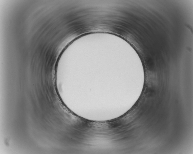 X0000102030856200807251349