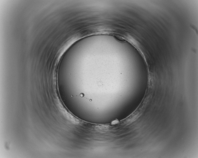 X0000102030859200807251350