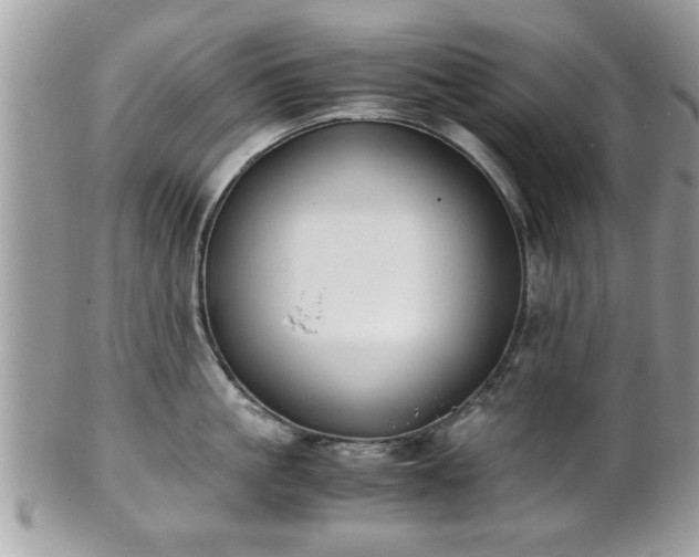 X0000102030861200807251350