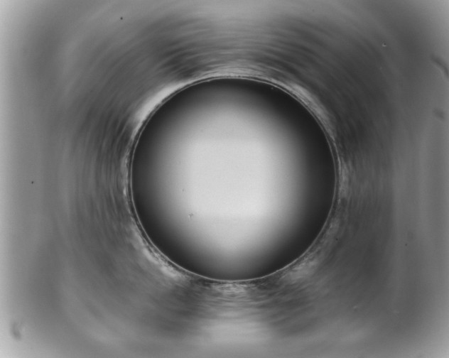 X0000102030862200807251350