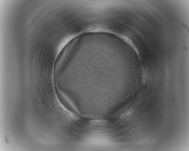 X0000102030863200807251350