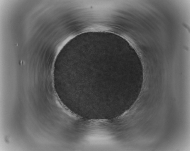 X0000102030864200807251350