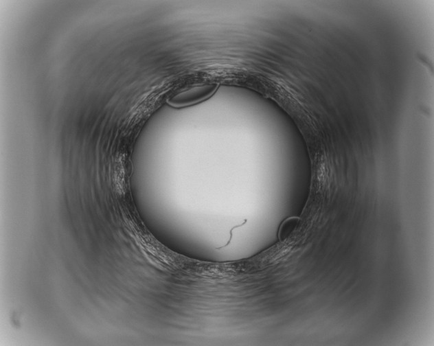 X0000102030868200807251349