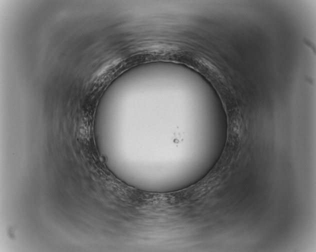 X0000102030869200807251349