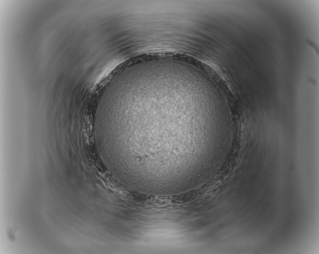 X0000102030871200807251349