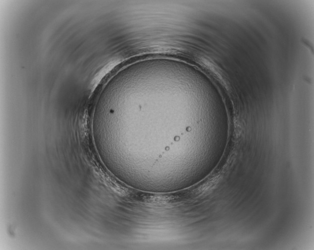 X0000102030875200807251349