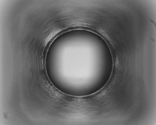 X0000102030877200807251349