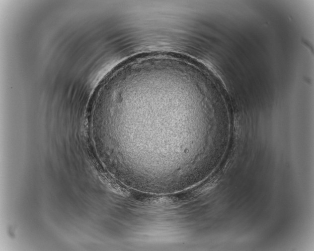 X0000102030879200807251349