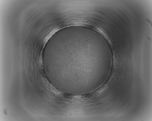 X0000102030883200807251349