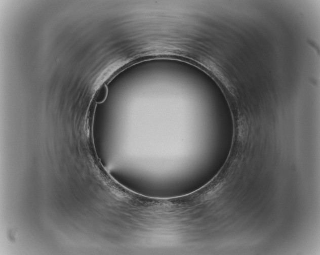 X0000102030885200807251349