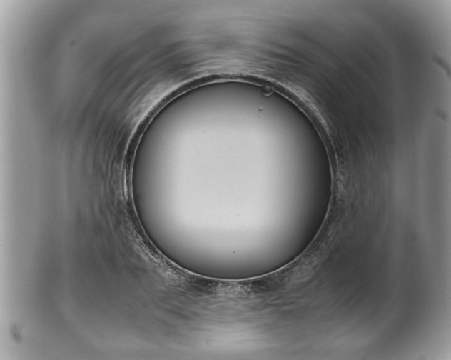 X0000102030887200807251349