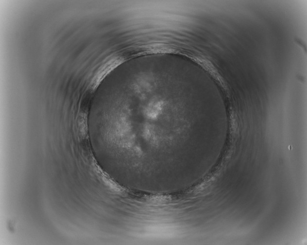 X0000102030889200807251349