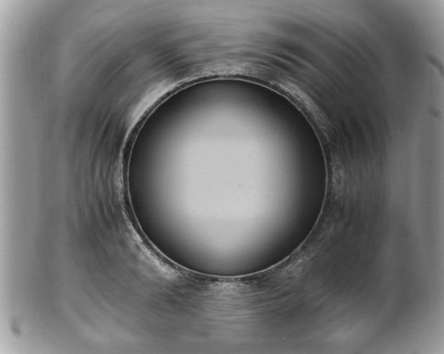 X0000102030894200807251349