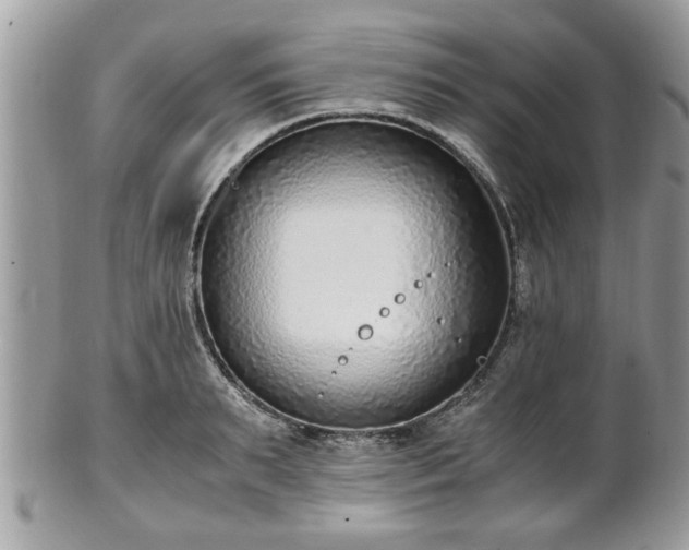 X0000102030895200807251349