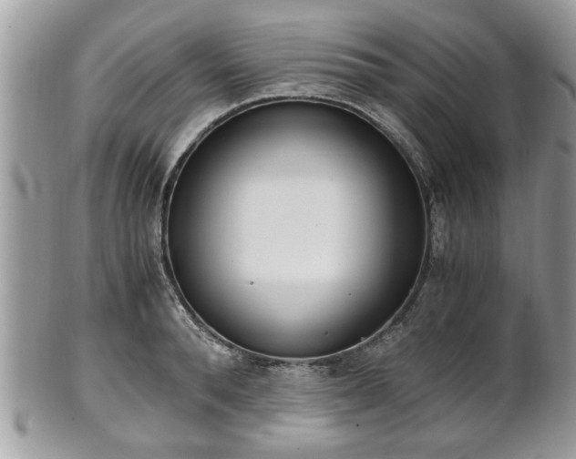 X0000102030896200807251348