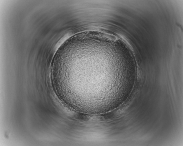 X0000102030899200807251348