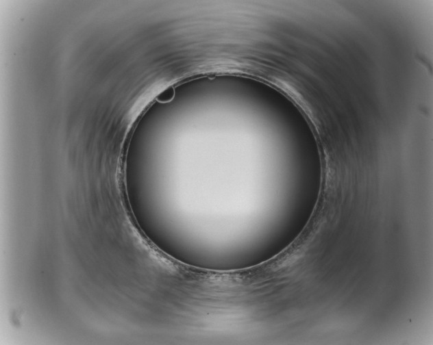 X0000102030901200807251348