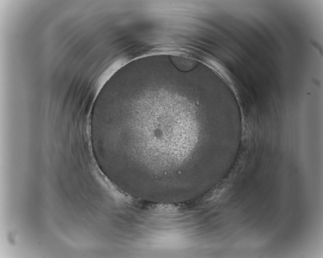 X0000102030907200807251348