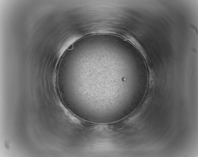 X0000102030909200807251348