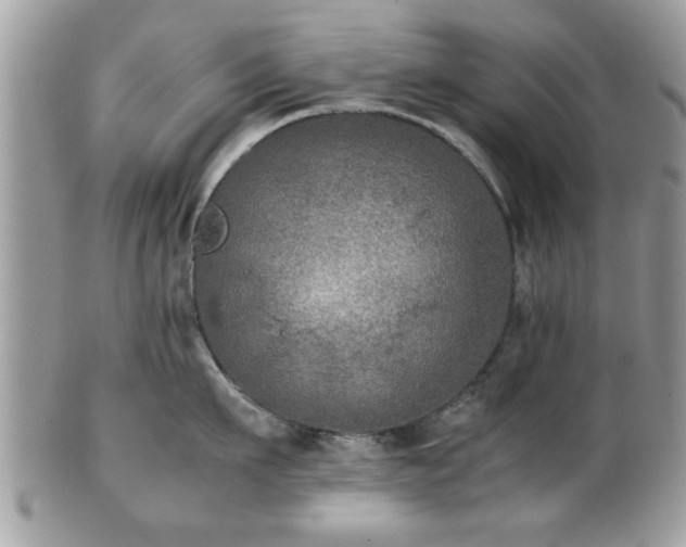 X0000102030911200807251348