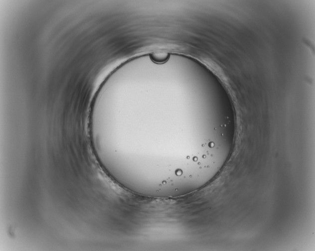 X0000102030912200807251348