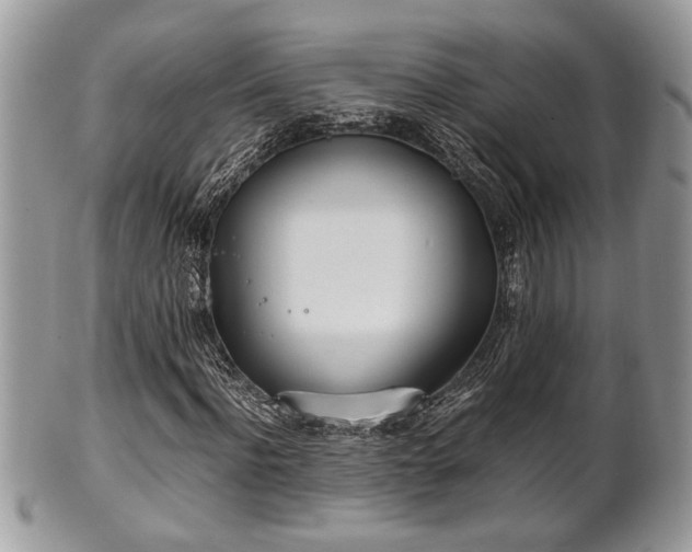 X0000102030916200807251348