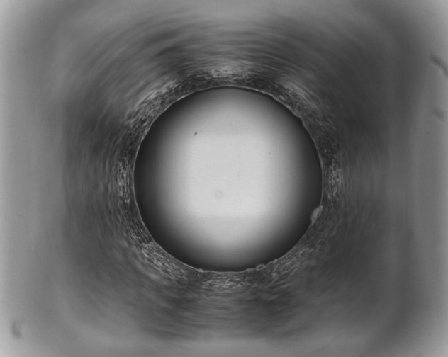 X0000102030917200807251348