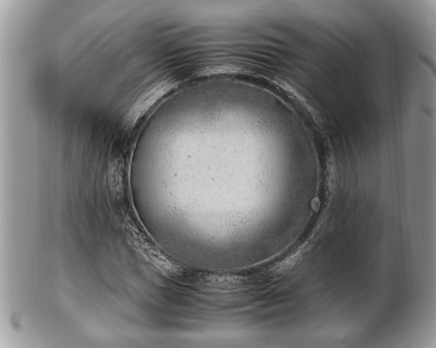 X0000102030921200807251348