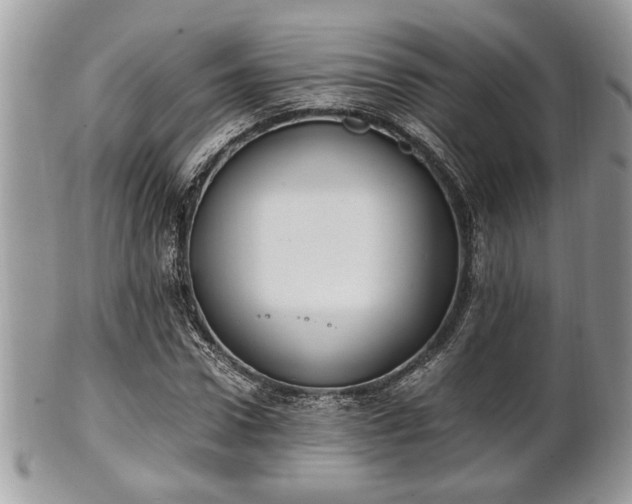 X0000102030922200807251348