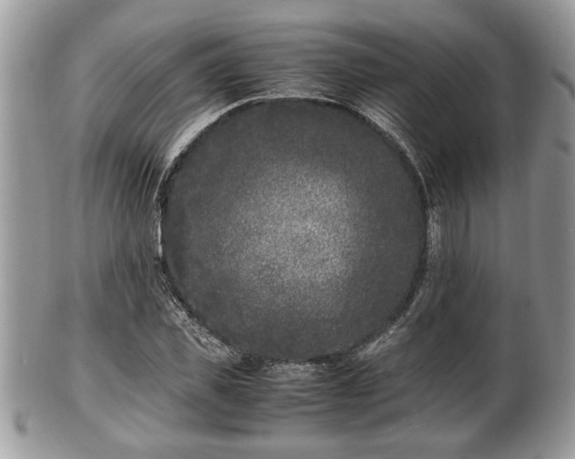 X0000102030925200807251348