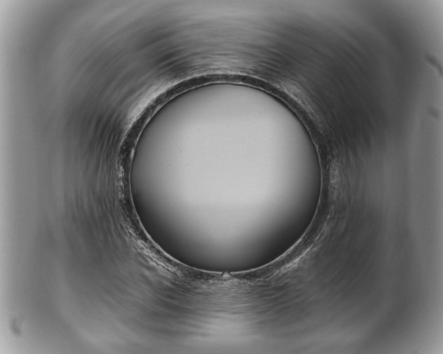 X0000102030926200807251348