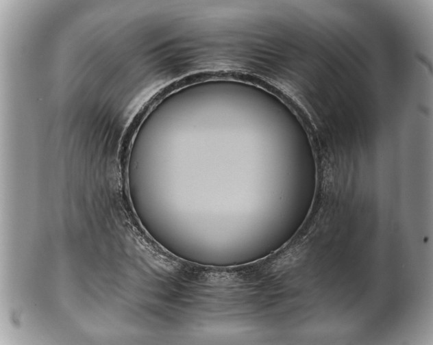 X0000102030927200807251348