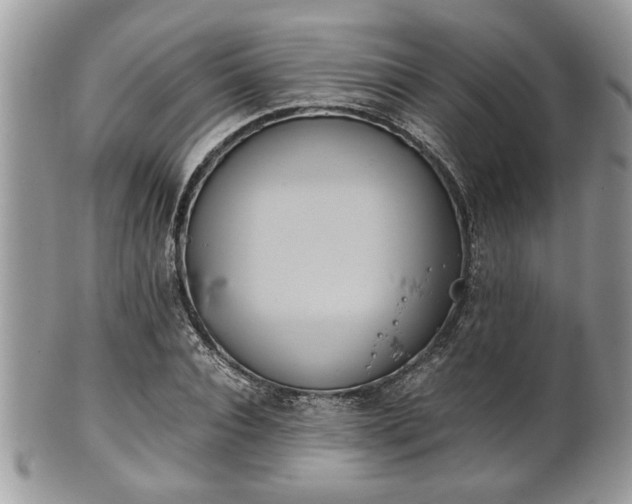 X0000102030928200807251348