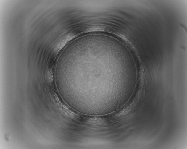 X0000102030929200807251348