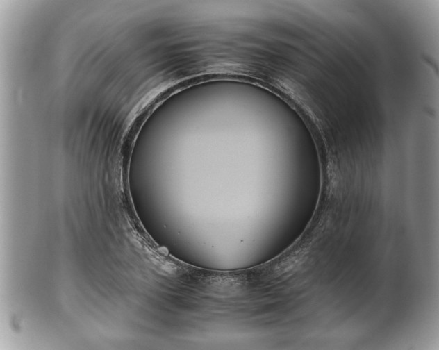 X0000102030931200807251348