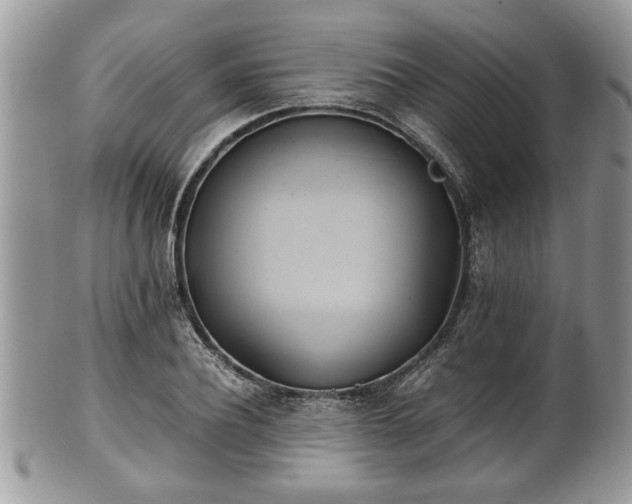 X0000102030932200807251348